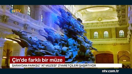 Çin'deki "at müzesi" ziyaretçileri şaşırtıyor (Saraydan farksız)