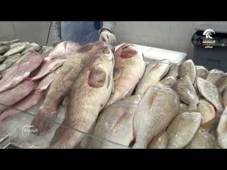 صباح الشارقة: فقرة سوقنا - سوق الجبيل 04/01/2017