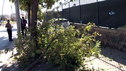 Otomobil ağaca çarptı: 1'i çocuk 3 yaralı