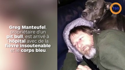 La vie de cet homme a basculé à cause d'un chien qui l'a léché !