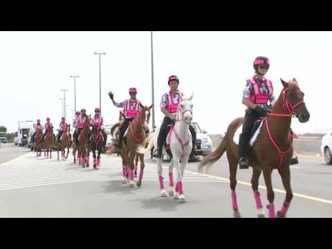 أخبار الدار : قيمة فحوص سرطان الثدي المجانية ٢٤ مليون درهم خلال ٦ أعوام .