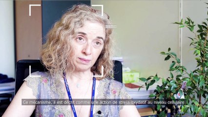 La qualité de l'air, un enjeu de santé publique