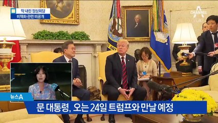 북한 비핵화 관련 공개할 수 없는 내용은?