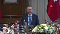 Cumhurbaşkanı Erdoğan, Irak Temsilciler Meclisine Seçilen Türkmen Milletvekillerini Kabul Etti