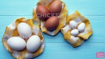 Eggs Three Ways Duck Chicken and Quail