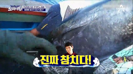 최자, 낚시대도 부러지게 한 대물 참치 최강자였다?