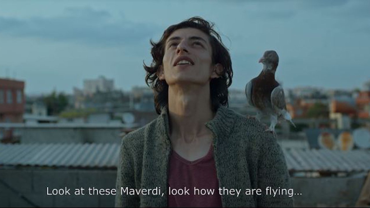 Güvercin Fragman