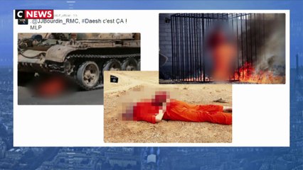 Photos de Daesh postées sur Twitter : Marine Le Pen s'indigne d'un examen psychiatrique