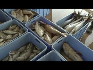 صباح الشارقة : أحدث الأسعار والسلع في سوق الجبيل 08 - 05 -2017