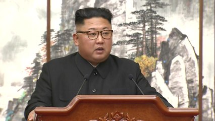 "김 위원장 답방, 남북 본격 오가는 시대 의미" / YTN