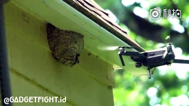 Un nid de guêpes détruit par un drone qui devra changer ses hélices