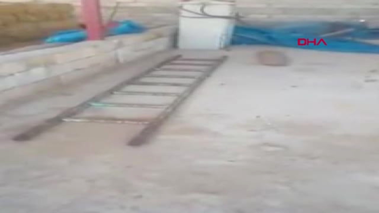 Gaziantep İpe Dolanan Serçeyi Kurtarıp, Doğaya Saldı Hd