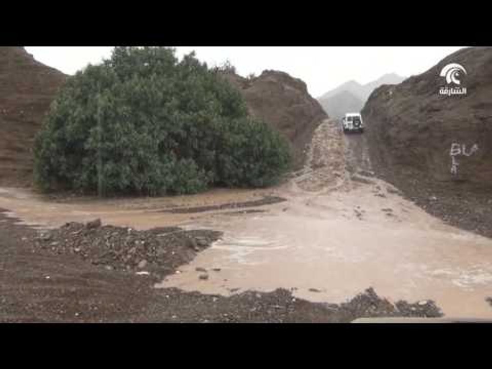 هطول أمطار صيفية غزيرة على مناطق متفرقة من الدولة أدت إلى جريان الأودية