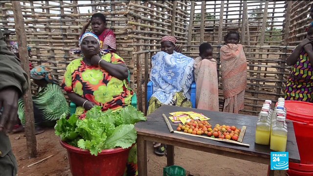 Mozambique, un joyau empoisonné