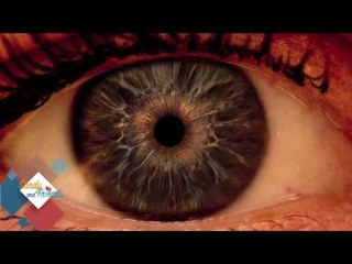 SANDY & FRIENDS-HOW DIABETES CAN AFFECT YOUR EYES