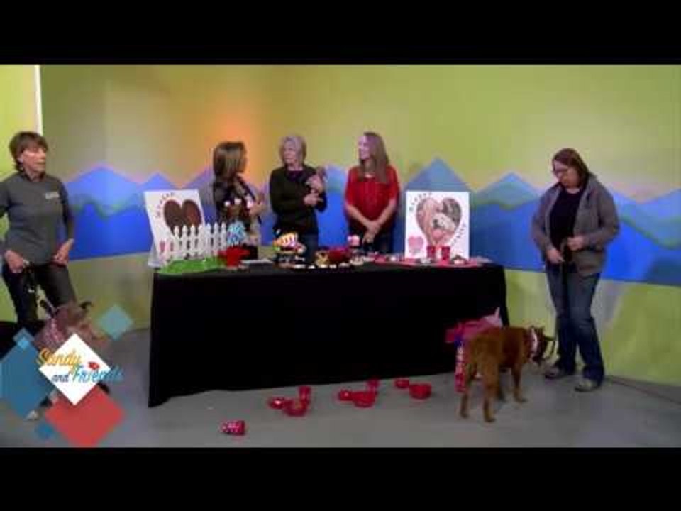 S&F-VEGOUT-United Animal Friends