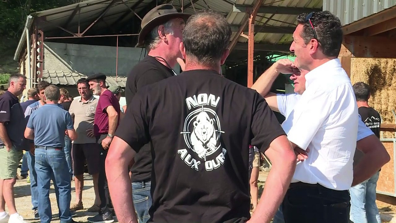 Ours dans les Pyrénées: des éleveurs prêts à prendre les armes