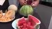 Summer Melons