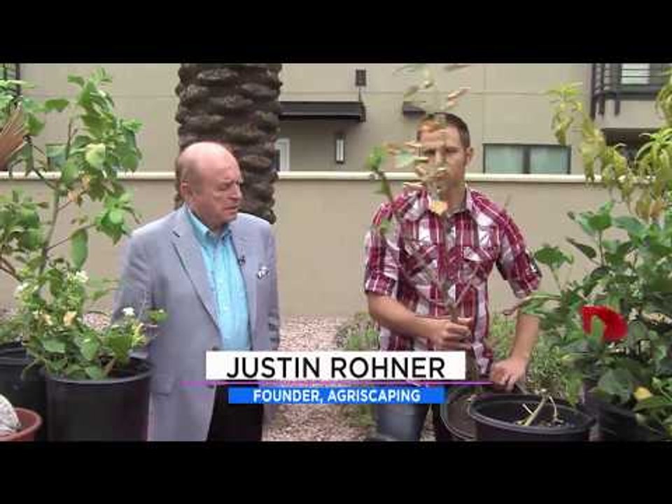 Summer Pruning Secrets