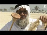 النيشان - البيئة البحرية في الإمارات .. مصدر رزق الأجداد