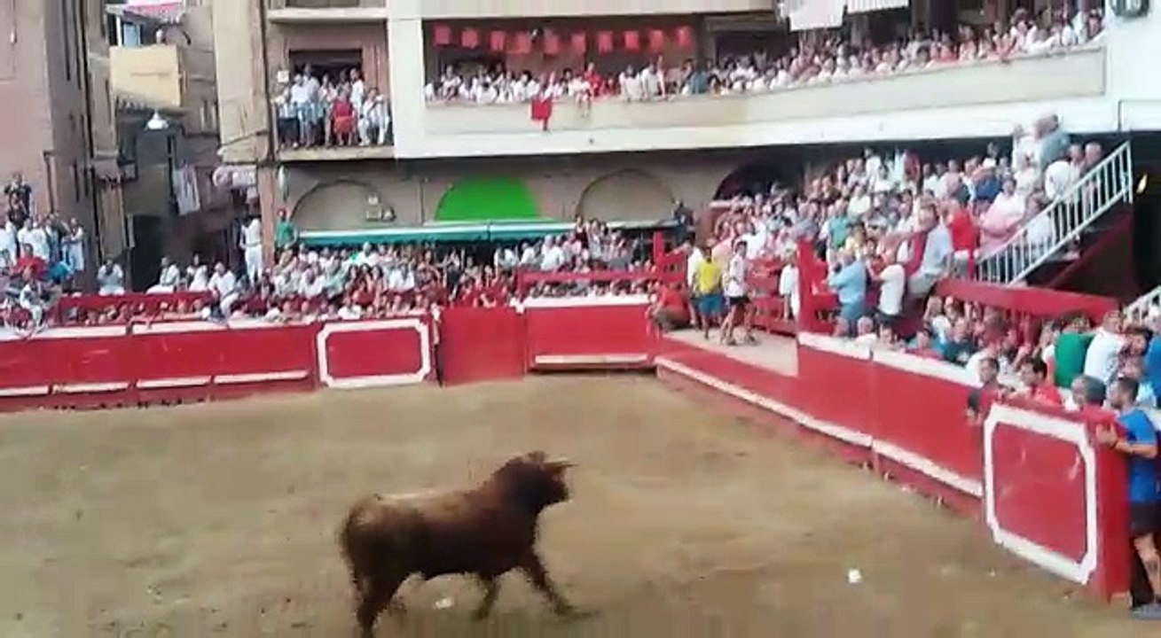 Un toro escapa en Villafranca y huye por las calles de la localidad