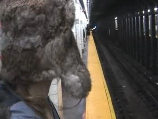 Avery in the Subway in NY