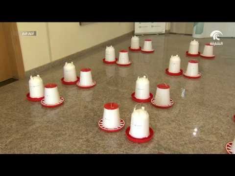 دائرة شؤون الضواحي و القرىء تطلق مبادرة سقيا الطير