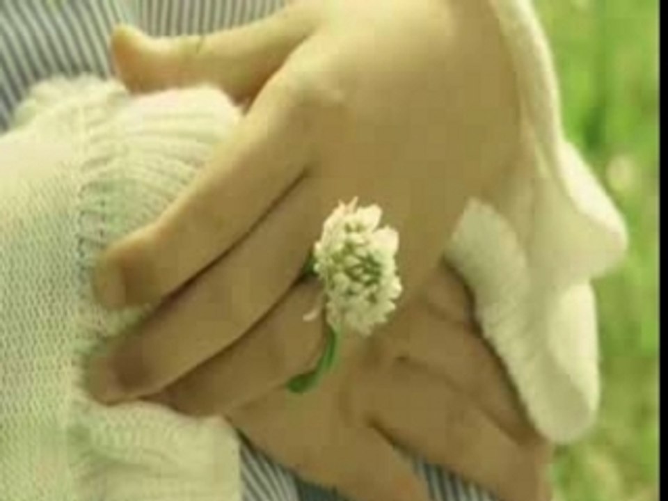 Daisuki da yo!Trailer