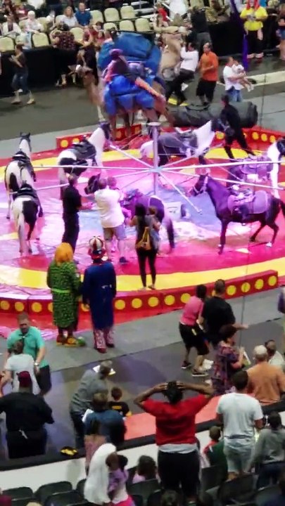 Un dromadaire sème la manique dans un cirque