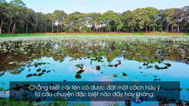 Top 5 điểm đến ấn tượng không thể bỏ qua khi đến với Trà Vinh xanh ngát giữa đồng bằng