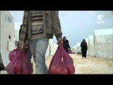 نداء أممي لجمع تبرعات بـ77 مليار دولار لمساعدة السوريين
