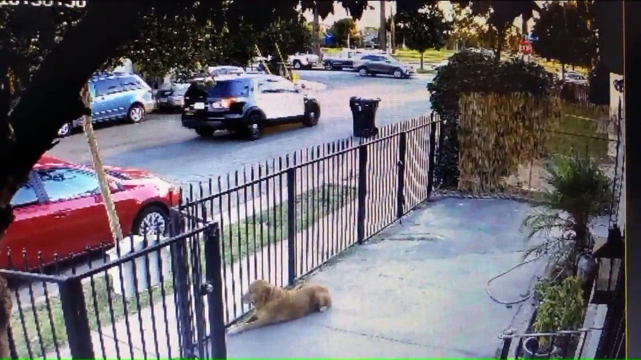 Sheriff's Deputies Shot in East L.A. Remain in...