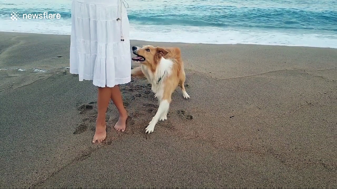 Dancing in the sand