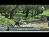 إشتباكات بين فلسطينيين وجنود الإحتلال في الضفة الغربية