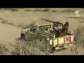 الشرعية تتقدم في جبهات شبوة وتعز ومقتل عشرات المتمردين في الحديدة