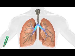 برنامج عيادة على الهواء - التهاب الرئة