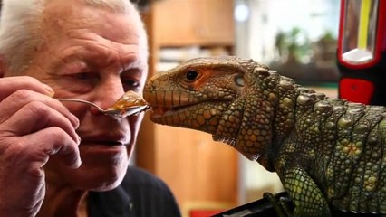 A letto con il coccodrillo