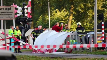네덜란드에서 삼륜차와 기차 충돌...어린이 4명 숨져 / YTN