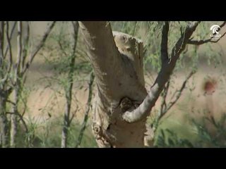 أماسي - الحديقة النباتية وجهة علمية ثقافية سياحية