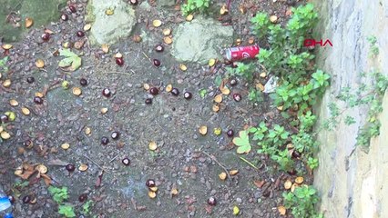 İstanbul Tarihi Yarımada'da Dünyanın Sıfır Noktası