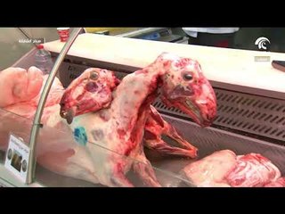 صباح الشارقة - أحدث الأسعار والسلع في سوق الجبيل