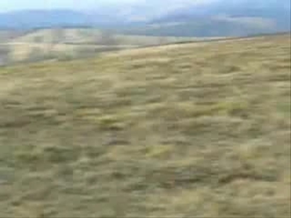 Me 109