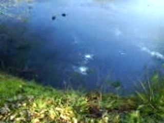 Miss chouquette et miss paillettes en pleine action.