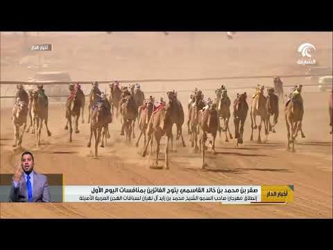 انطلاق مهرجان صاحب السمو الشيخ محمد بن زايد آل نهيان لسباقات الهجن العربية الأصيلة