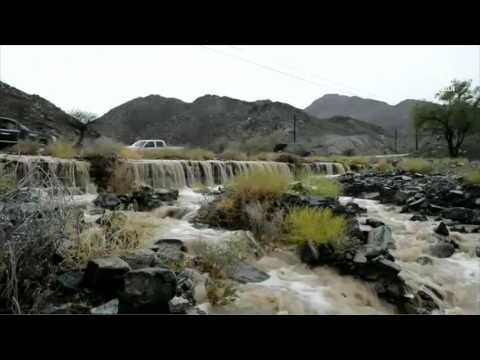 في المناطق الشرقية .. هطول امطار متوسطة الى غزيرة في الدولة