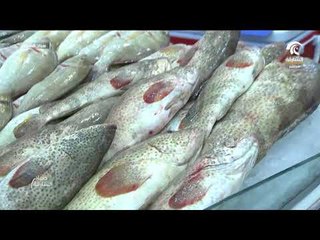 صباح الشارقة ..  فقرة  سوق الجبيل