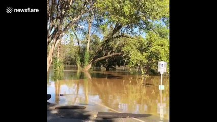 South Carolina river nears cresting, residents prepare for evacuation