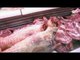 صباح الشارقة: أسعار الأسماك و اللحوم و الخضراوات من سوق الجبيل 5/9/2016