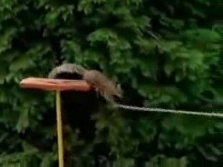 Mission Impossible: A High-Stakes Adventure