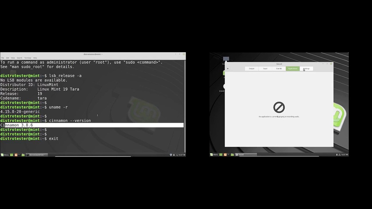 Linux Mint 19 vs LMDE 3 - PART 2